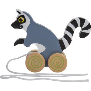 Pulling Ring Tailed Lemur