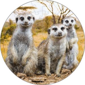 Puzzle Round Meerkat, 56 pcs