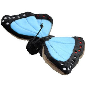 Little Ones Blue Morpho