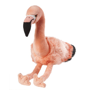 
            
                Load image into Gallery viewer, Plan L Flamingo
            
        