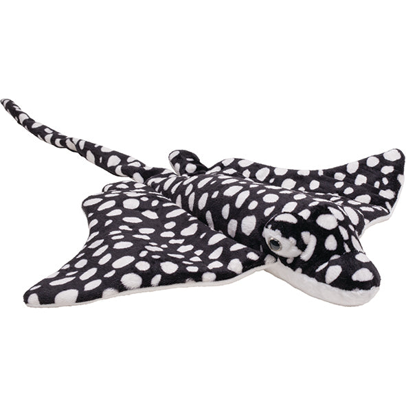 Plan L Spotted Eagle Ray