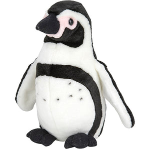 Plan L Humboldt Penguin