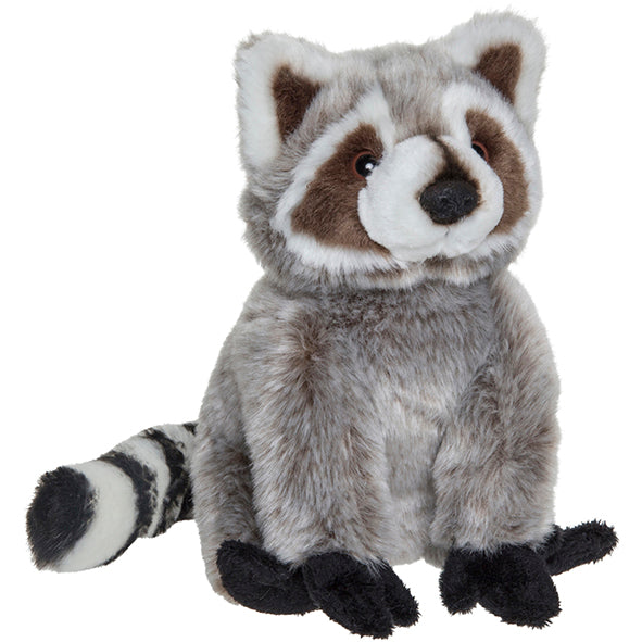 Plan M Racoon – Nature Planet Shop