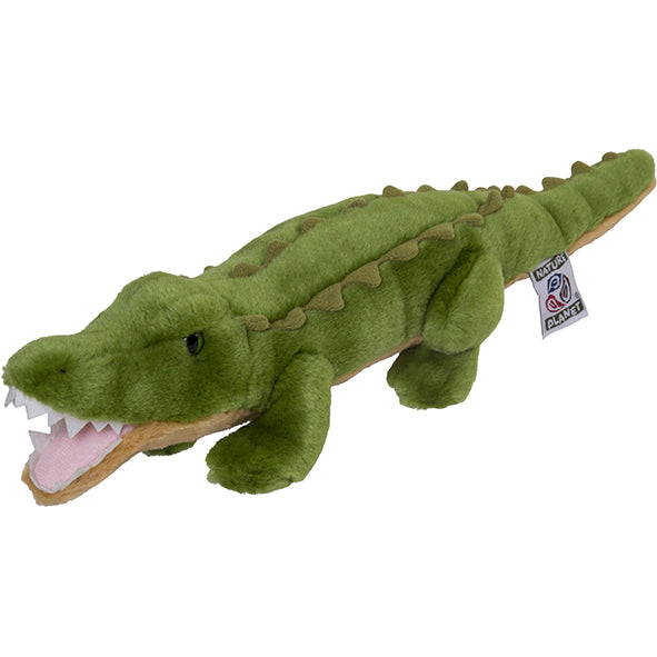 Plan M Crocodile