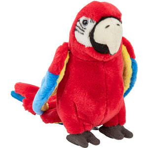 Plan M Red Macaw