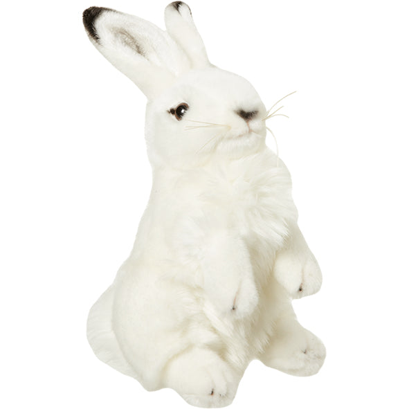 
            
                Load image into Gallery viewer, Plan M Snow Hare
            
        