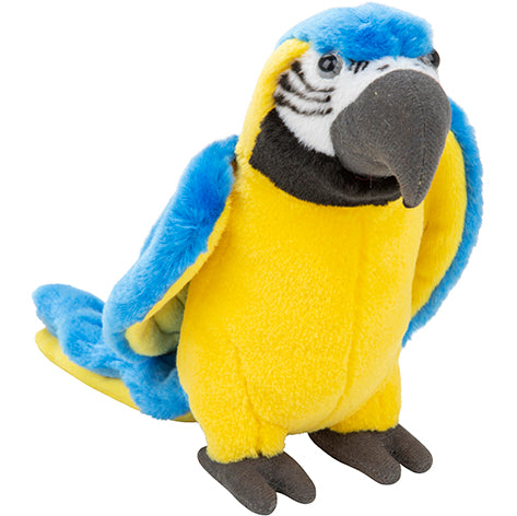 Plan M Blue and Gold Macaw