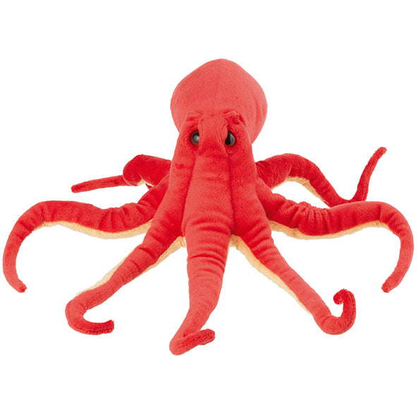 Plan M Octopus