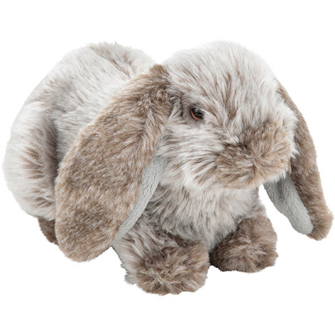 
            
                Load image into Gallery viewer, Plan M Lop Eared Rabbit
            
        
