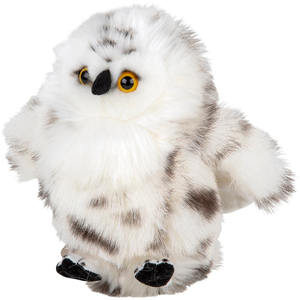 Plan S Snowy Owl