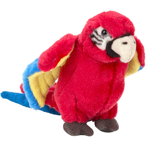 Plan S Red Macaw