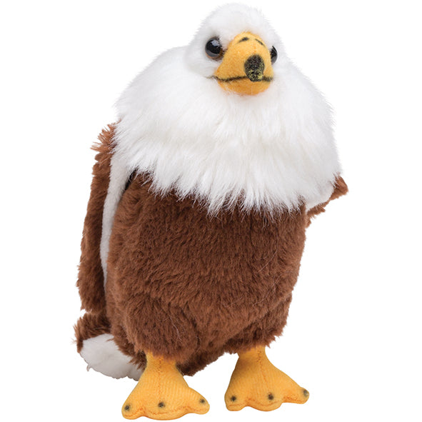 Plan S Eagle