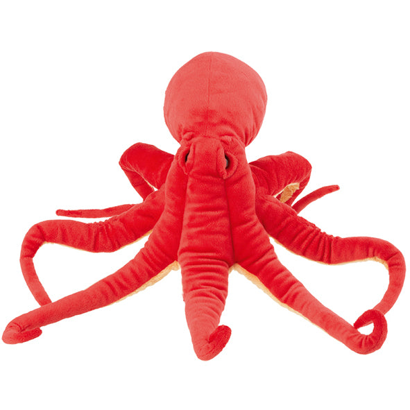 Plan L Octopus – Nature Planet Shop