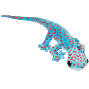 Funkyland S Gecko Tokay