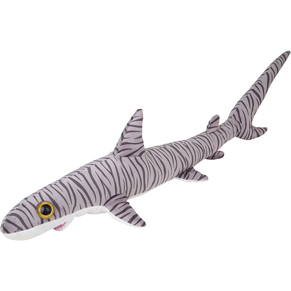 Splash Tiger Shark