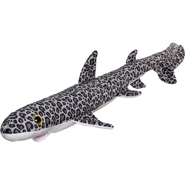 
            
                Load image into Gallery viewer, Splash Leopard Shark
            
        