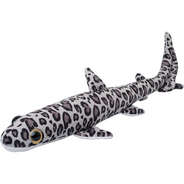 Splash S Leopard Shark