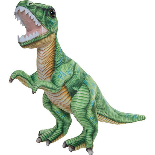Dino Printed M T-Rex