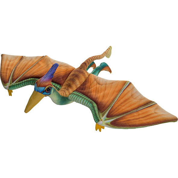 Dino Printed M Pterosaur