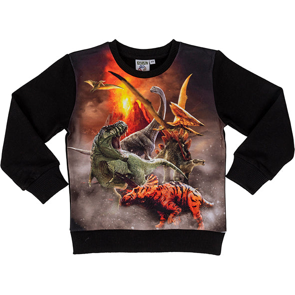 Sweatshirt Dinosaur 4-5 Years