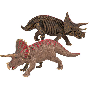 World Wonders 2S Triceratops