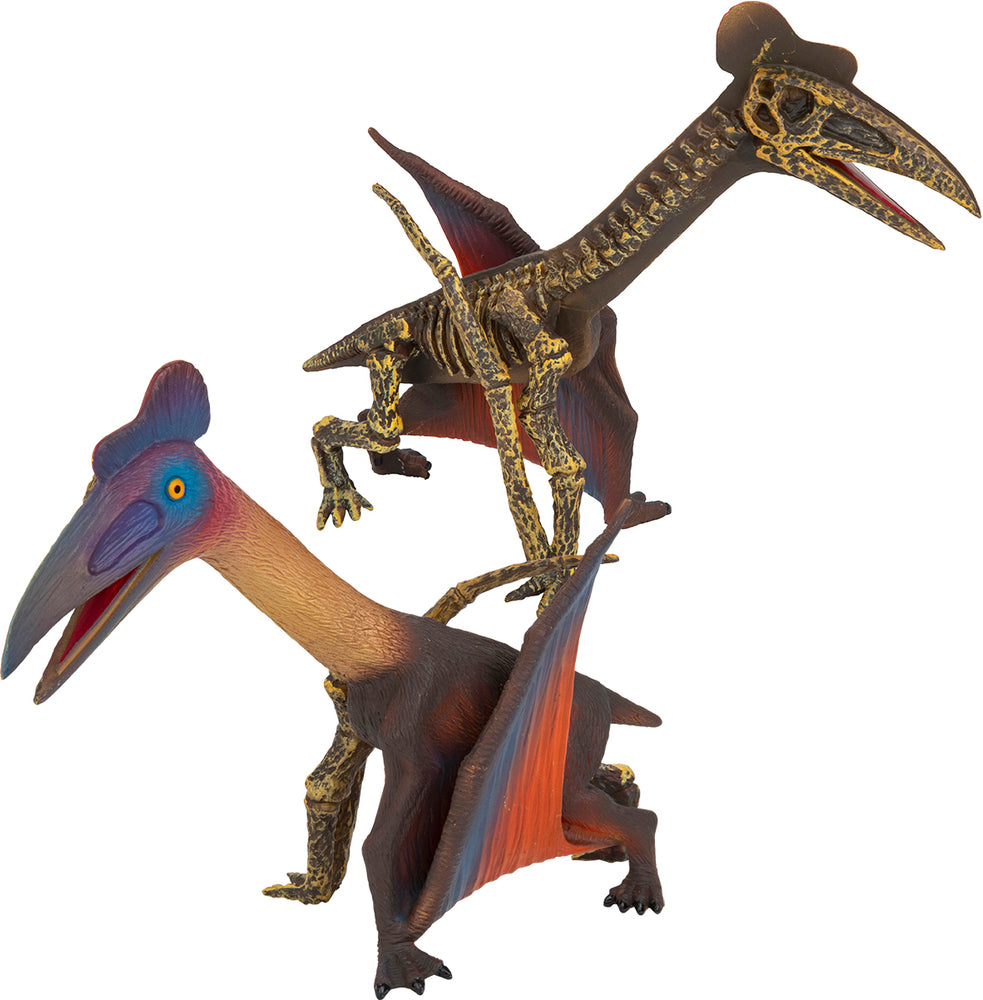 
            
                Load image into Gallery viewer, World Wonders 2S Pterosaur
            
        