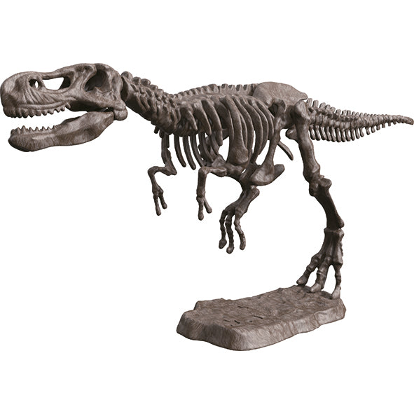 Digging Kit T-Rex