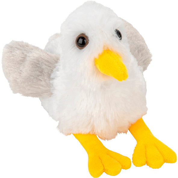 Fluffy Seagull