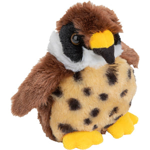 Fluffy Peregrine Falcon