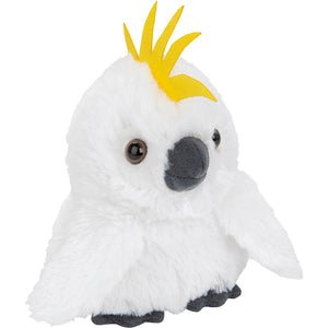 Fluffy Cockatoo
