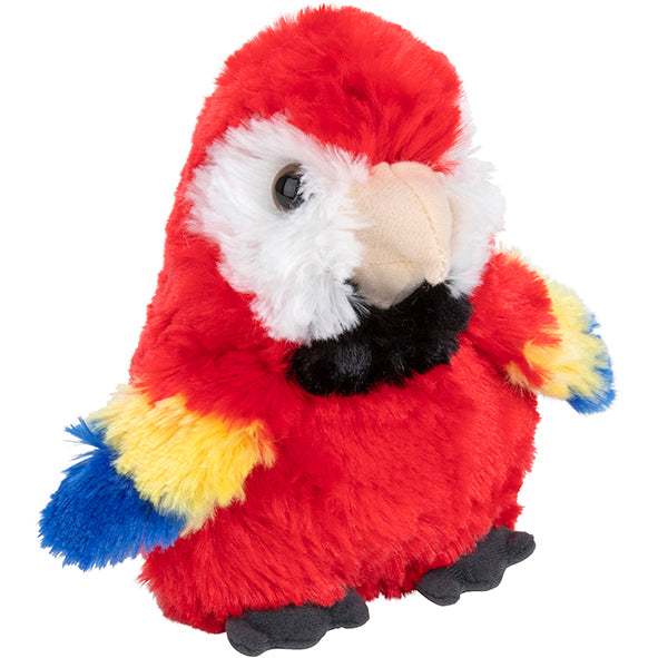 Fluffy Red Macaw