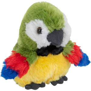 Fluffy Green Macaw