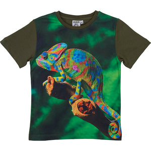 
            
                Load image into Gallery viewer, T-shirt Chameleon 4-5 Years
            
        