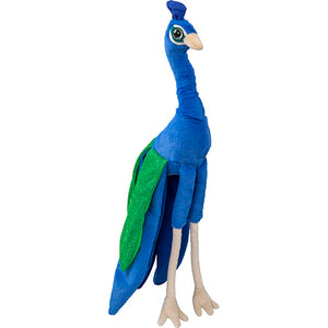 Funkyland S Peacock