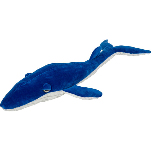 Splash S Blue Whale