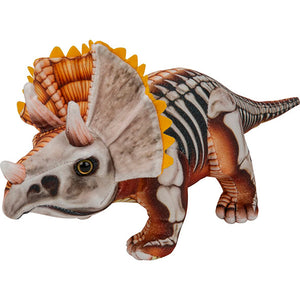 Dino Printed M Triceratops ½ Skeleton