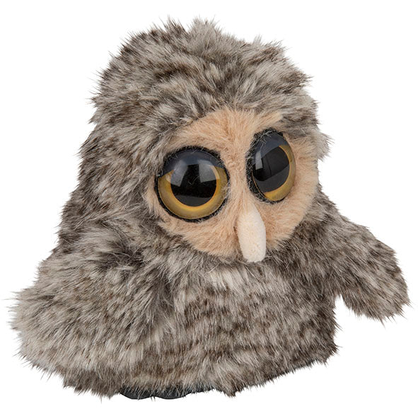 Fluffy Tawny Owl