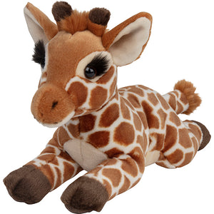 Plan Baby Giraffe