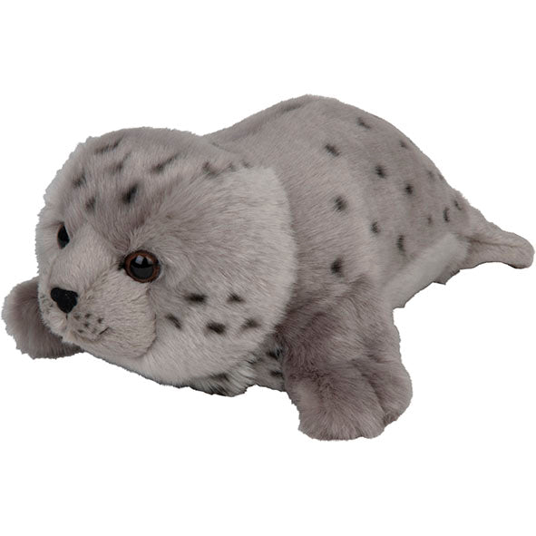 Plan Baby Harbour Seal